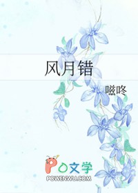 风月错小说